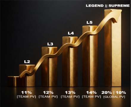 MLM software dashboard